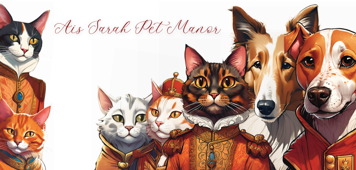Banner image