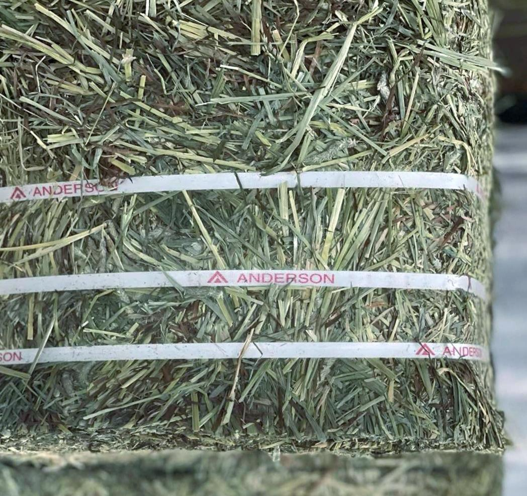 Timothy Hay | 1st Cut Premium Grade