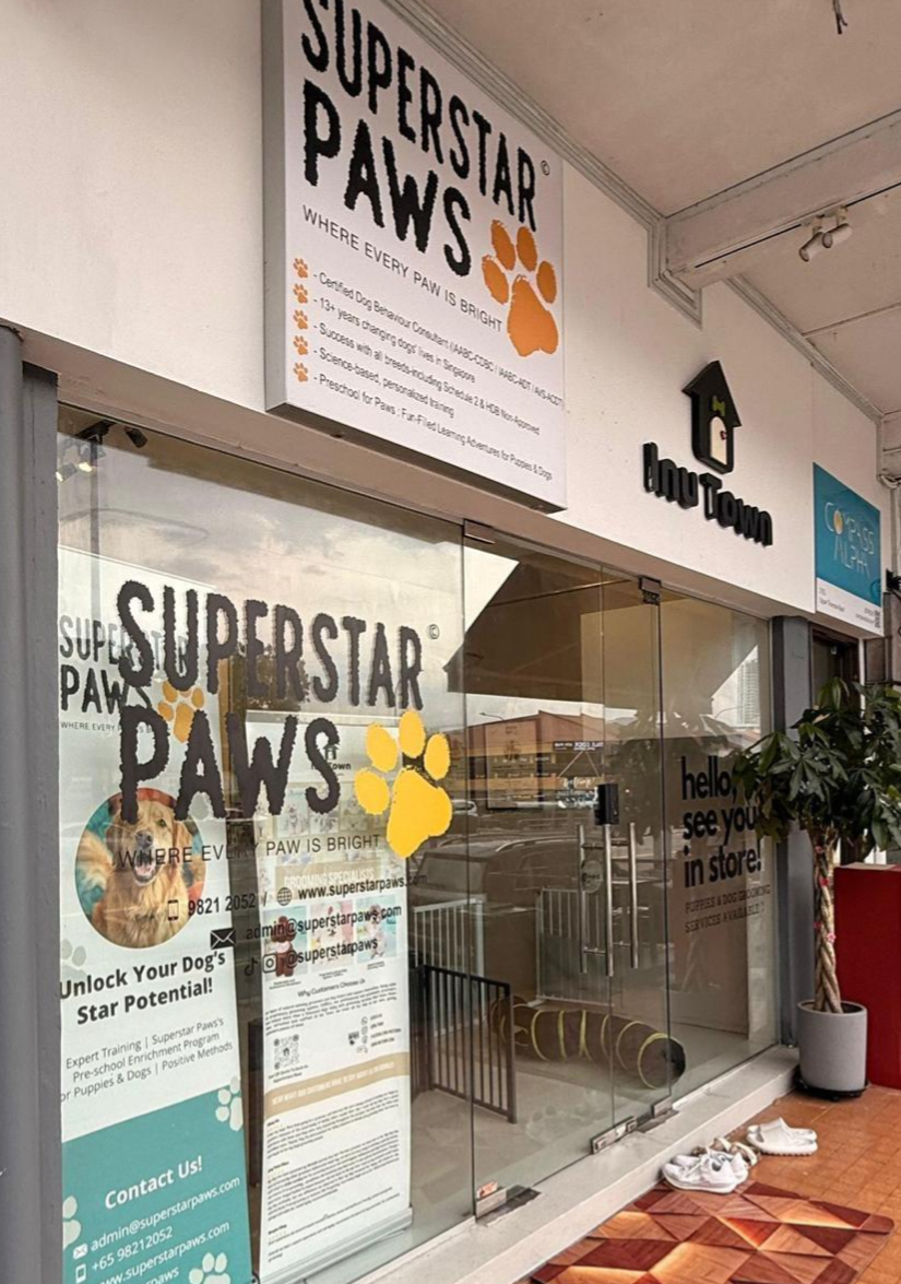 Superstar Paws Dog Training School