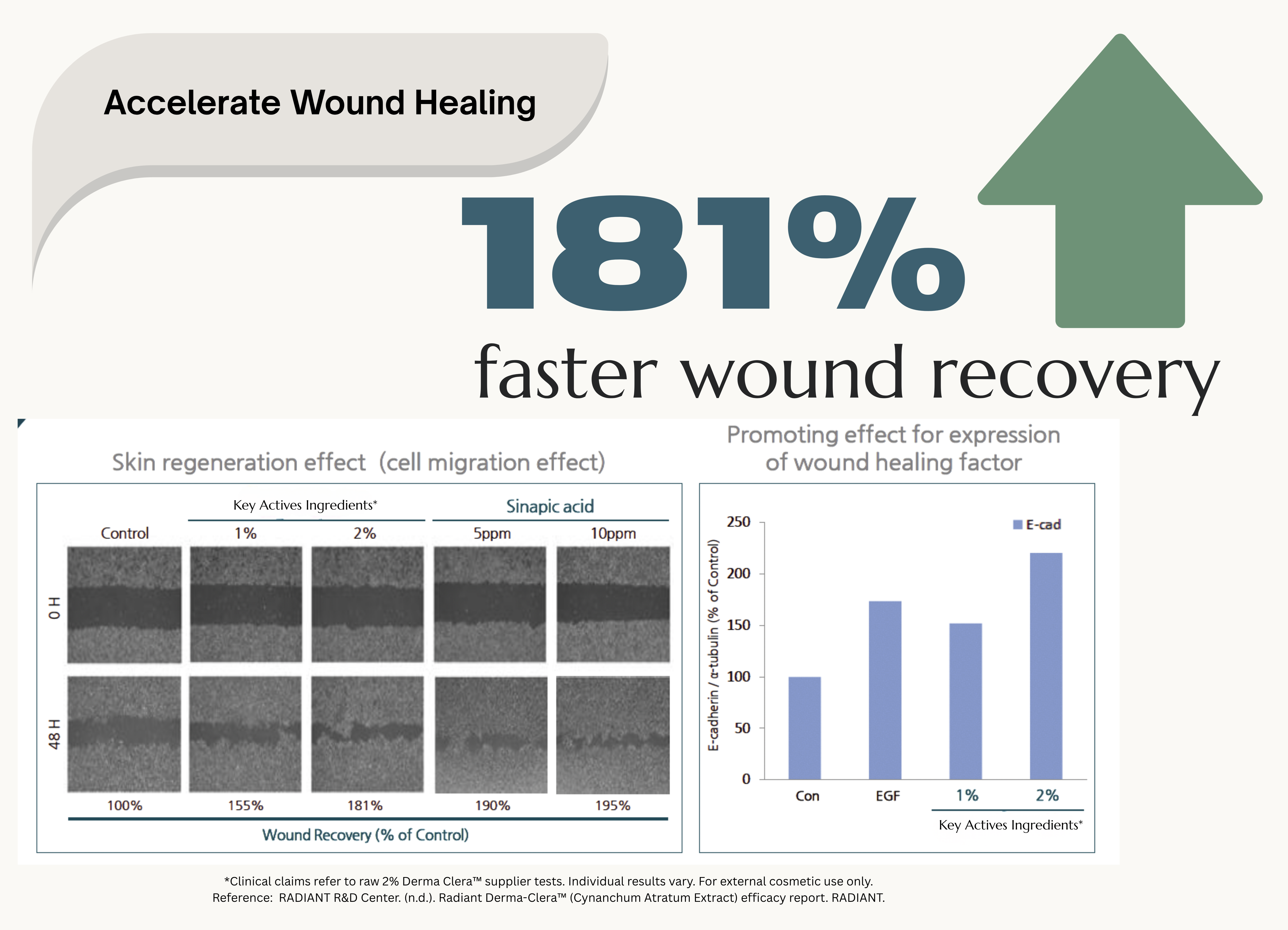 Accelerates Cellular Wound Healing