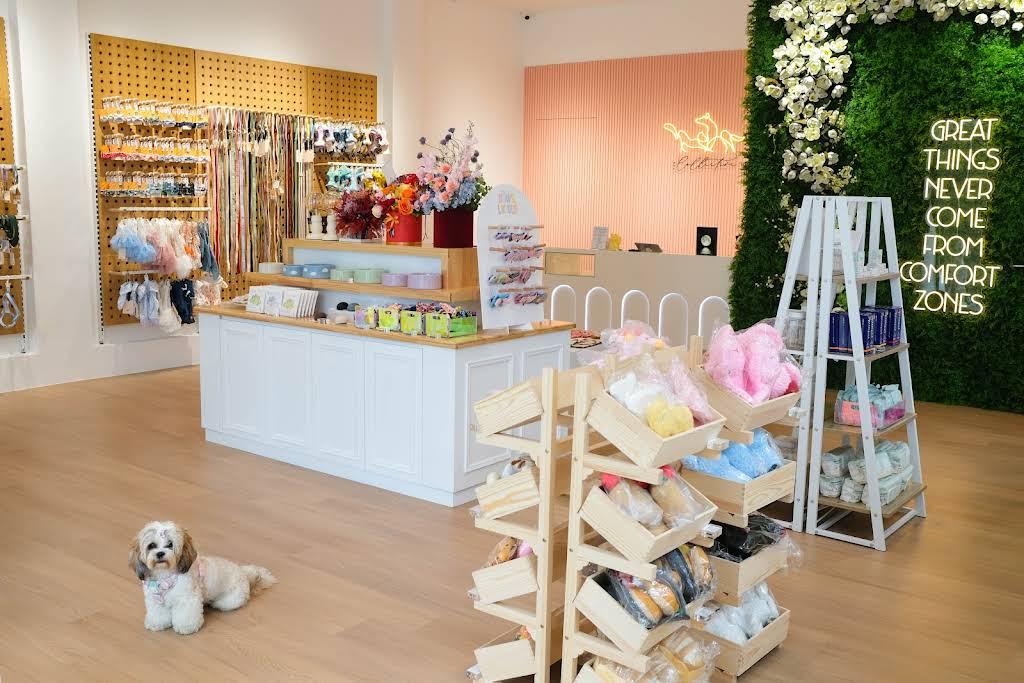 Central - The Collective