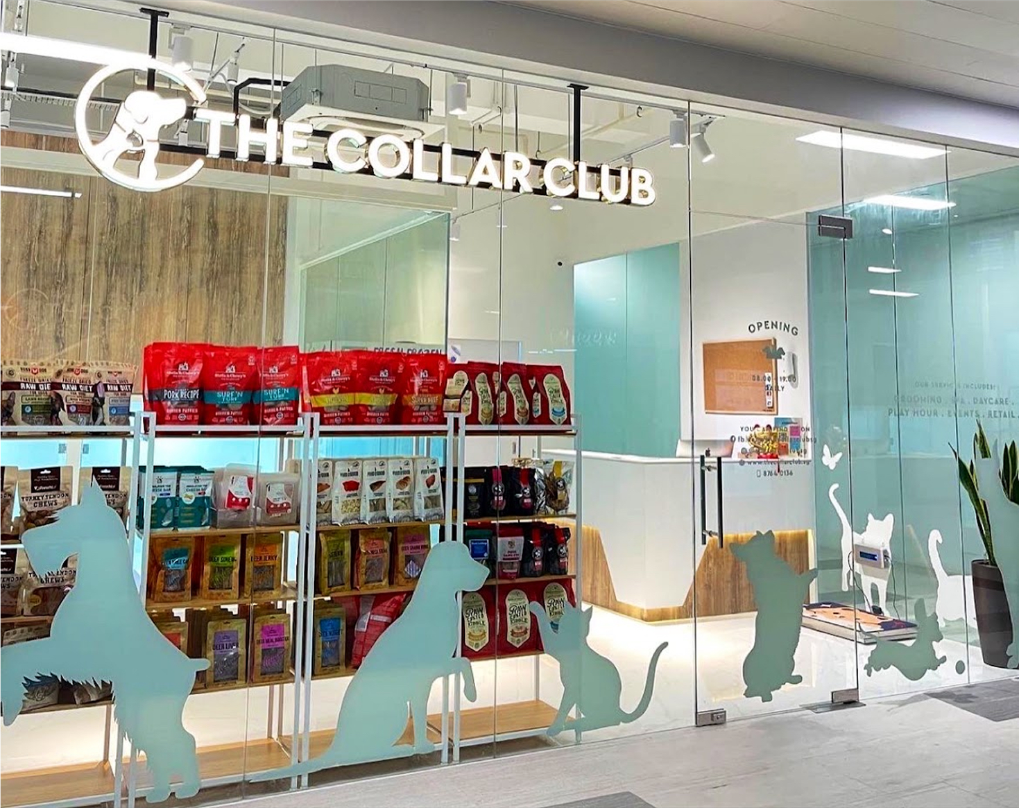 North - The Collar Club Punggol
