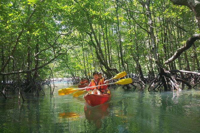 SIC Mangrove Kayaking (Adult)