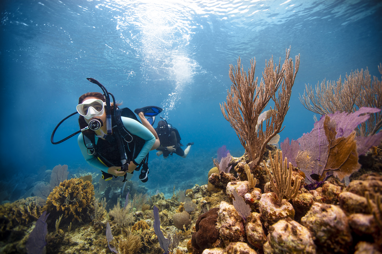 Discover the power of scuba diving