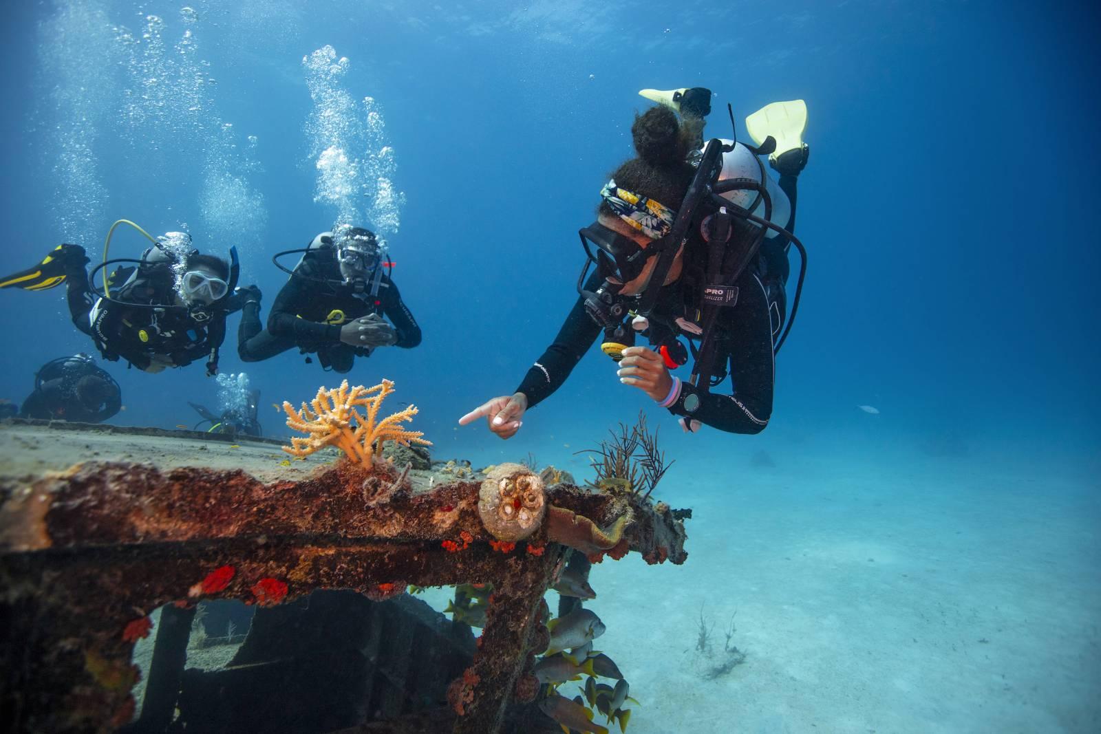 PADI® Specialty Instructor