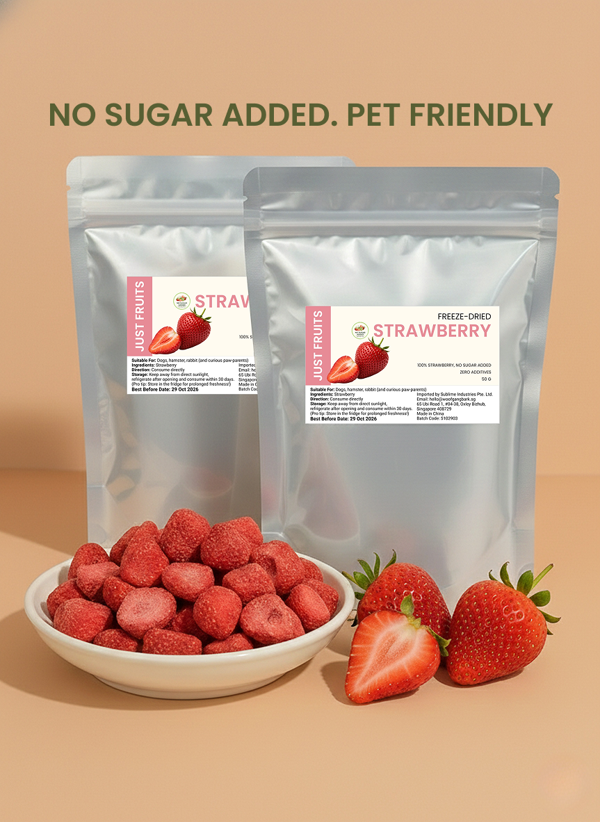 [Just Fruit] Freeze Dried Fruits