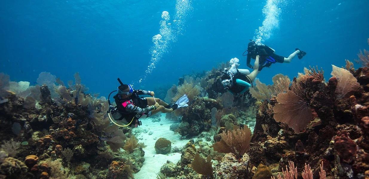 PADI® Assistant Instructor (AI)