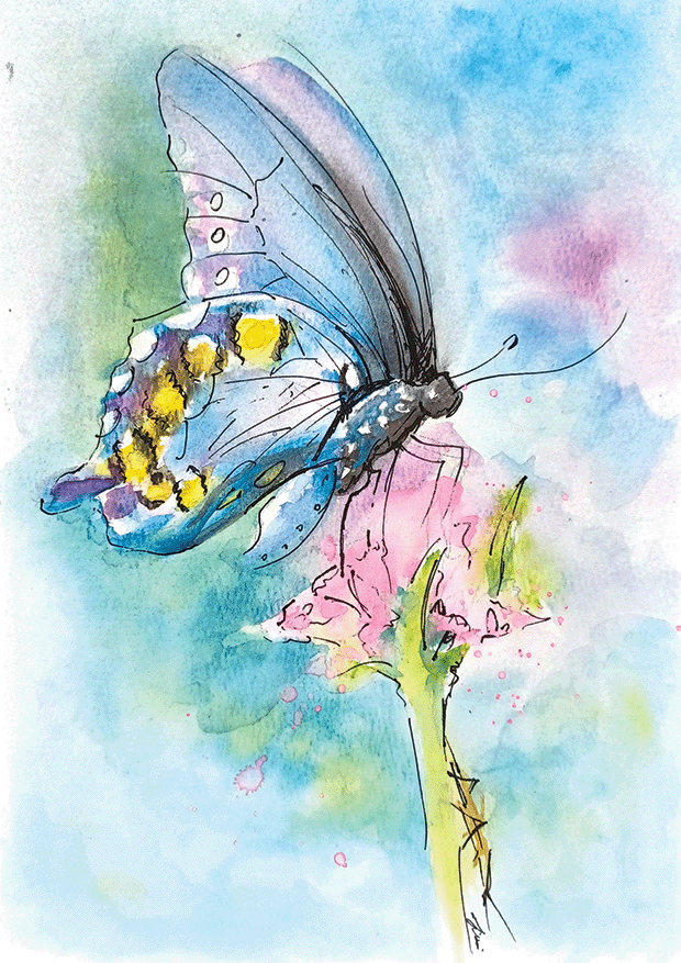 Blue Butterfly | Jill Puah