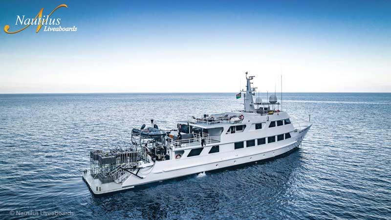 9D8N Socorro with Nautilus Explorer 21-29 Dec 2026