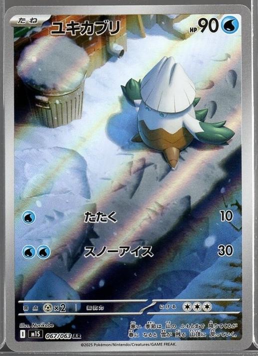 Snover #67 AR