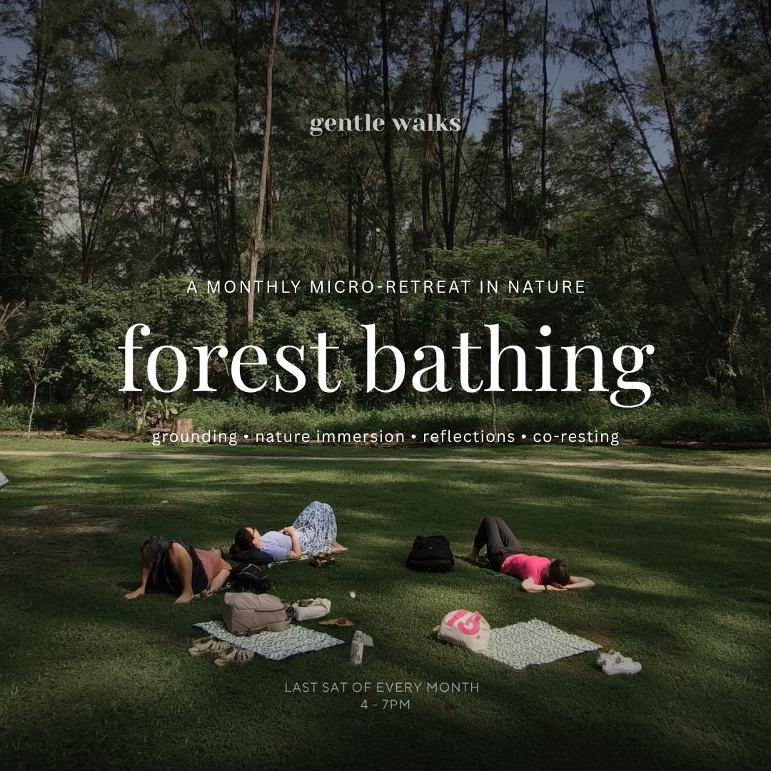 Forest Bathing: a monthly micro retreat in nature