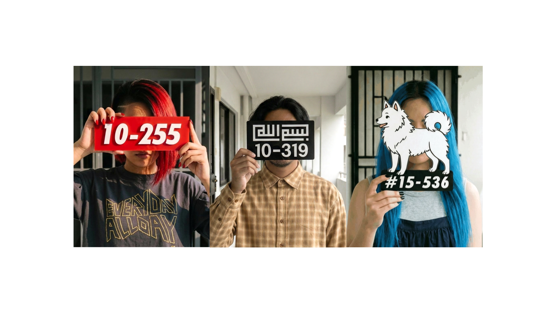 Banner image