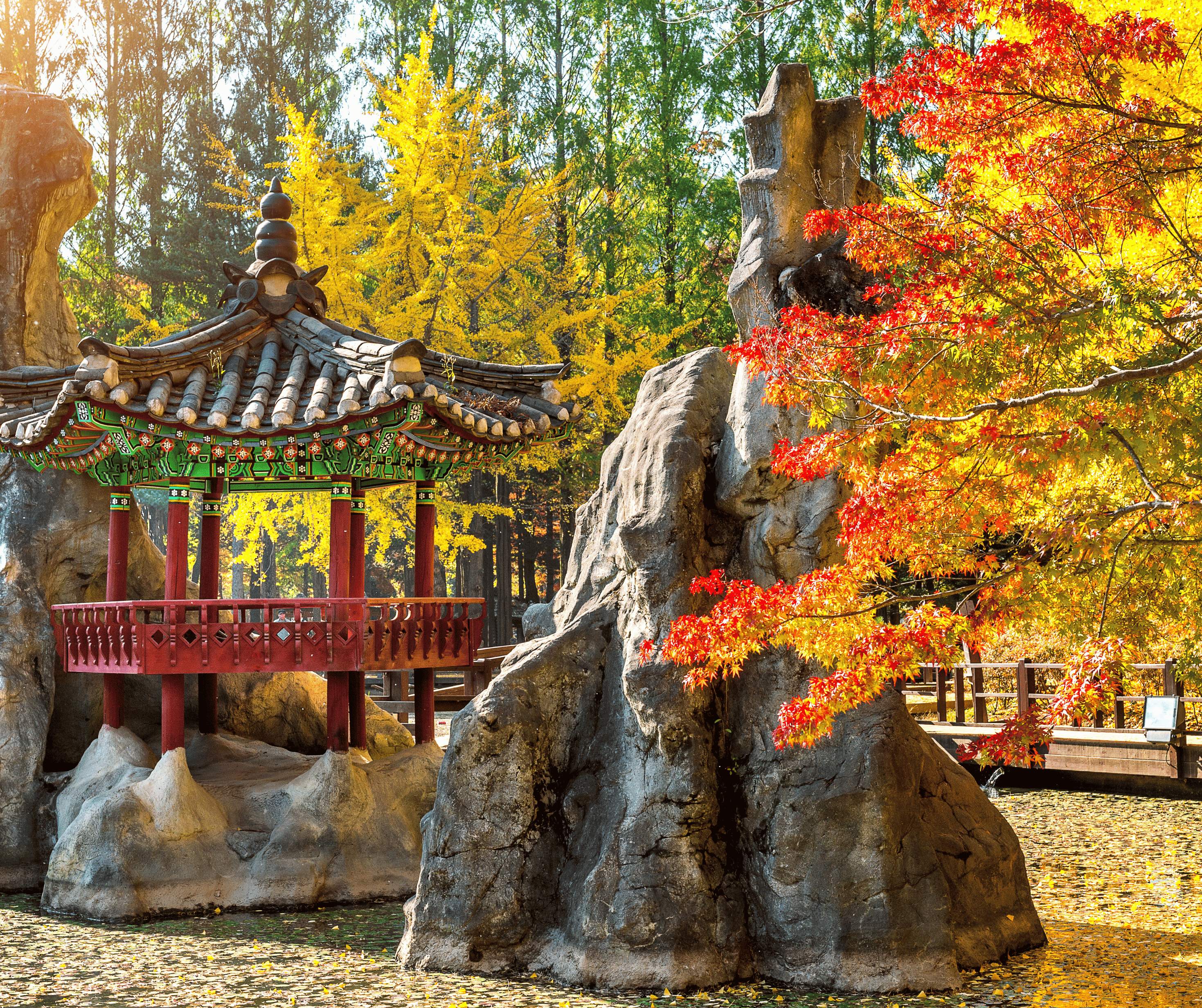 Autumn in Nami Island: A K-Drama Journey