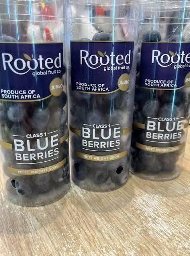 Jumbo Blueberries Tube