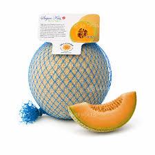 Kiss Melon