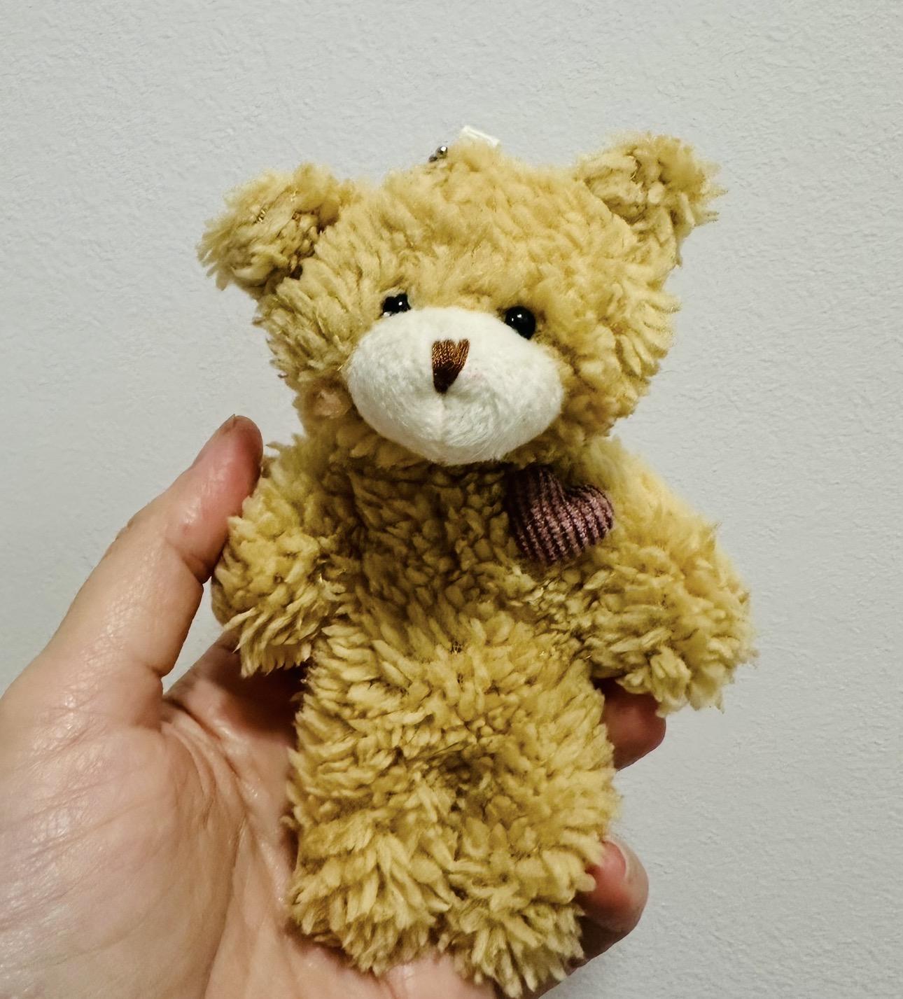 Beary Cute