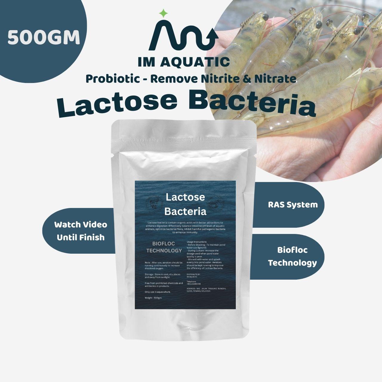 Lactose Bacteria Probiotic for Aquaculture Biofloc 500gm
