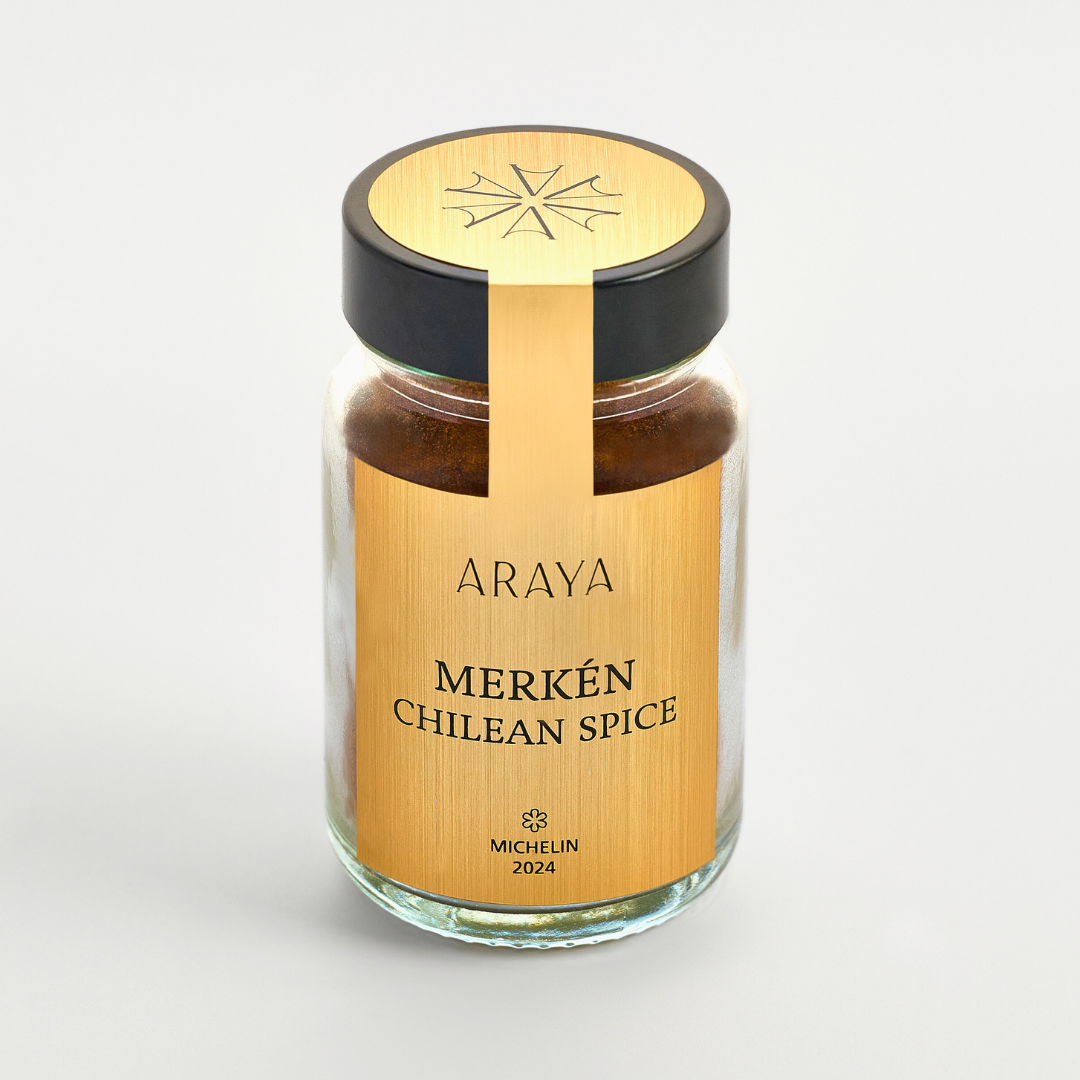 ARAYA CONCEPTS PTE. LTD.