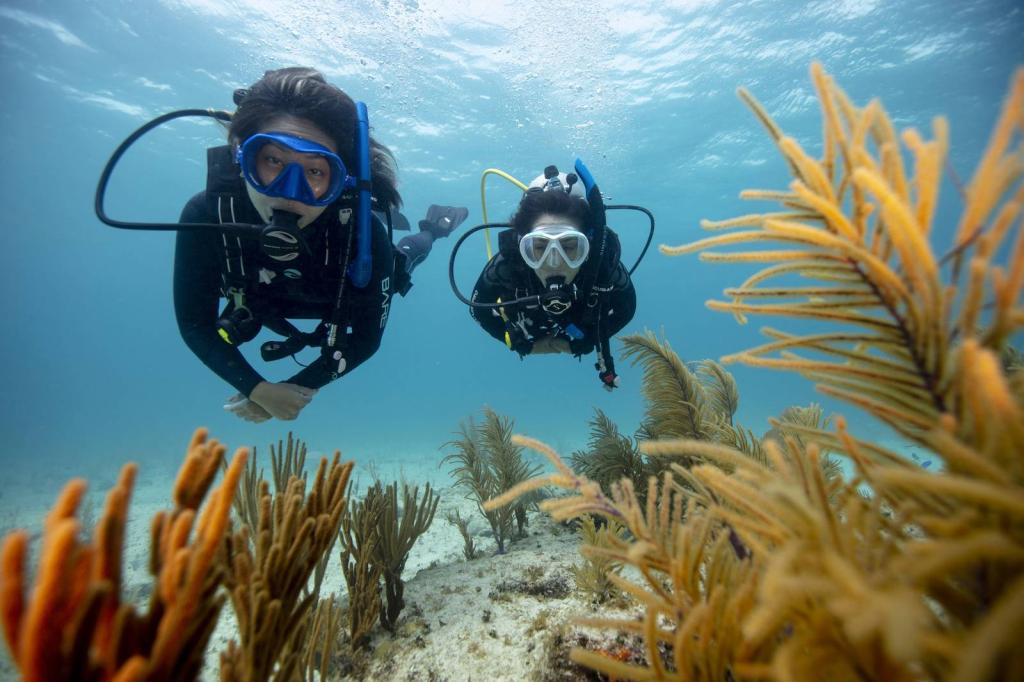 Start Diving