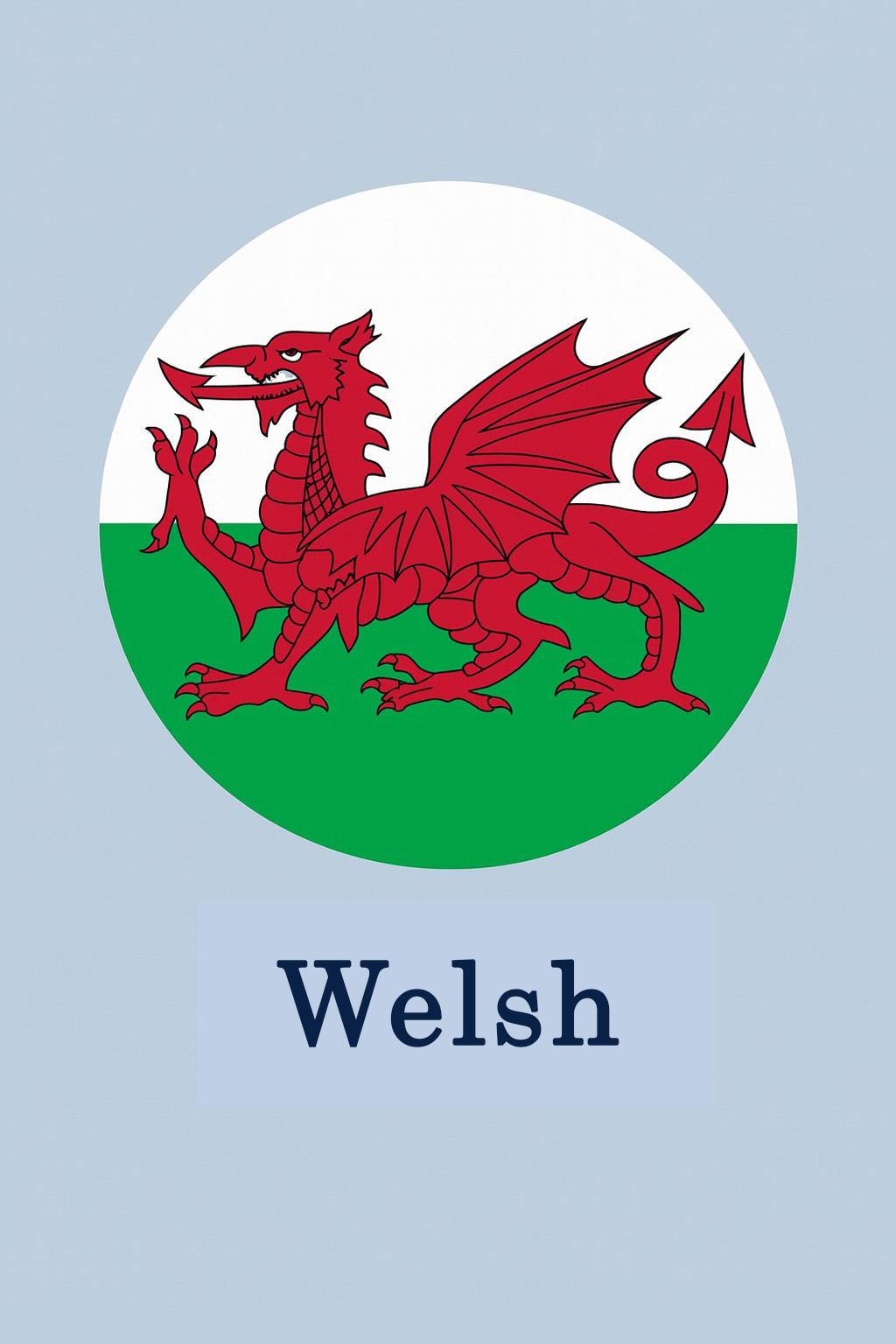 Welsh Sentence Builders