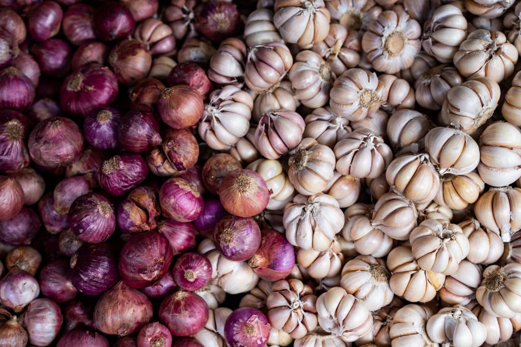 Allium Condiments