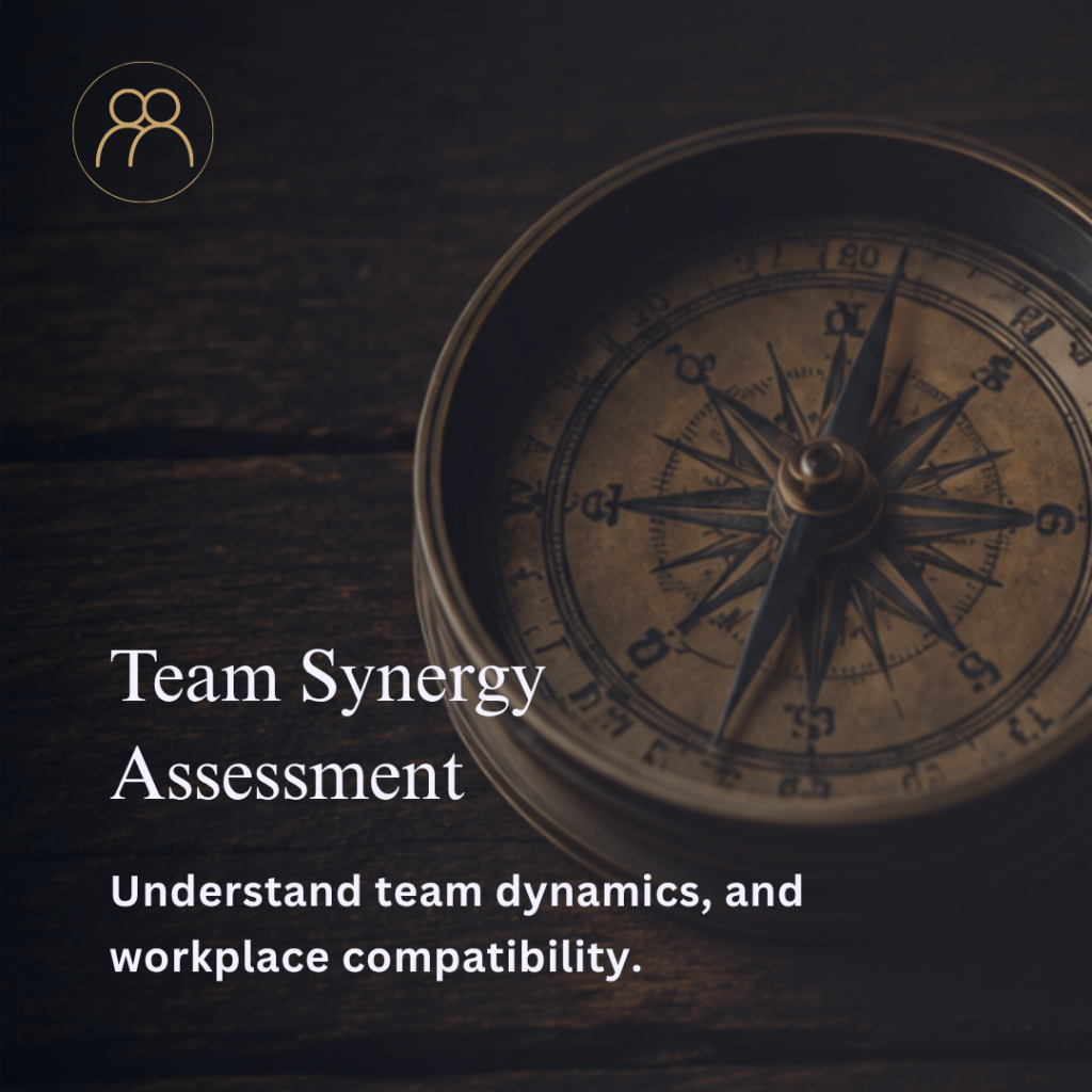 Team Synergy Assessment