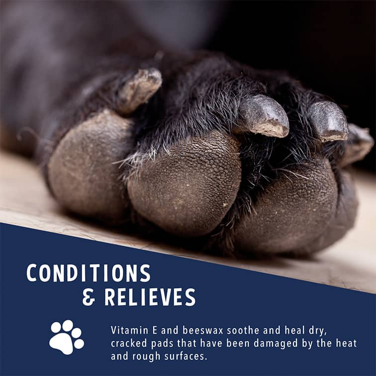 mushers-secret-product-award-6a01b5b845246.png