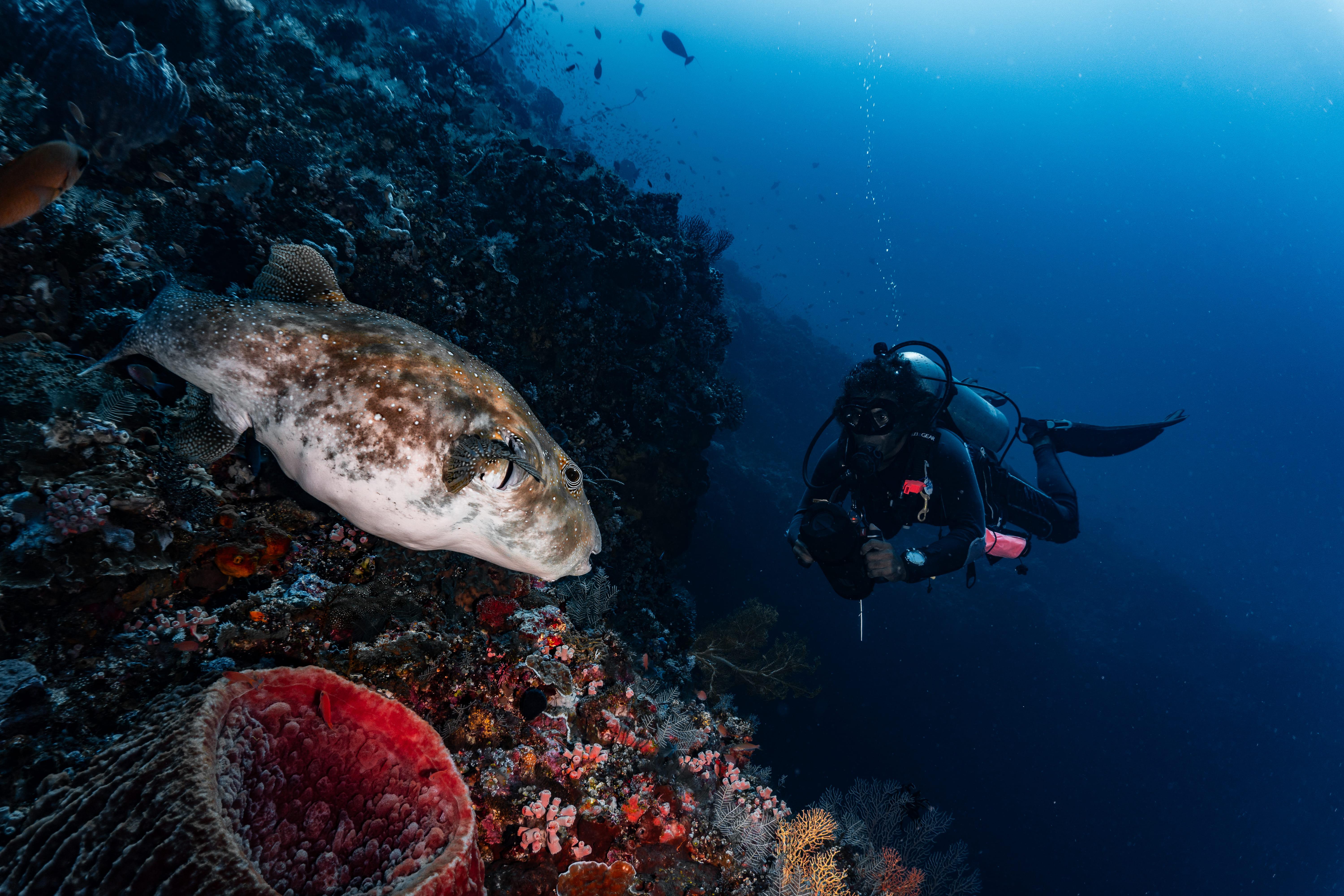 ⚓ Why Book with Adventours Travel?