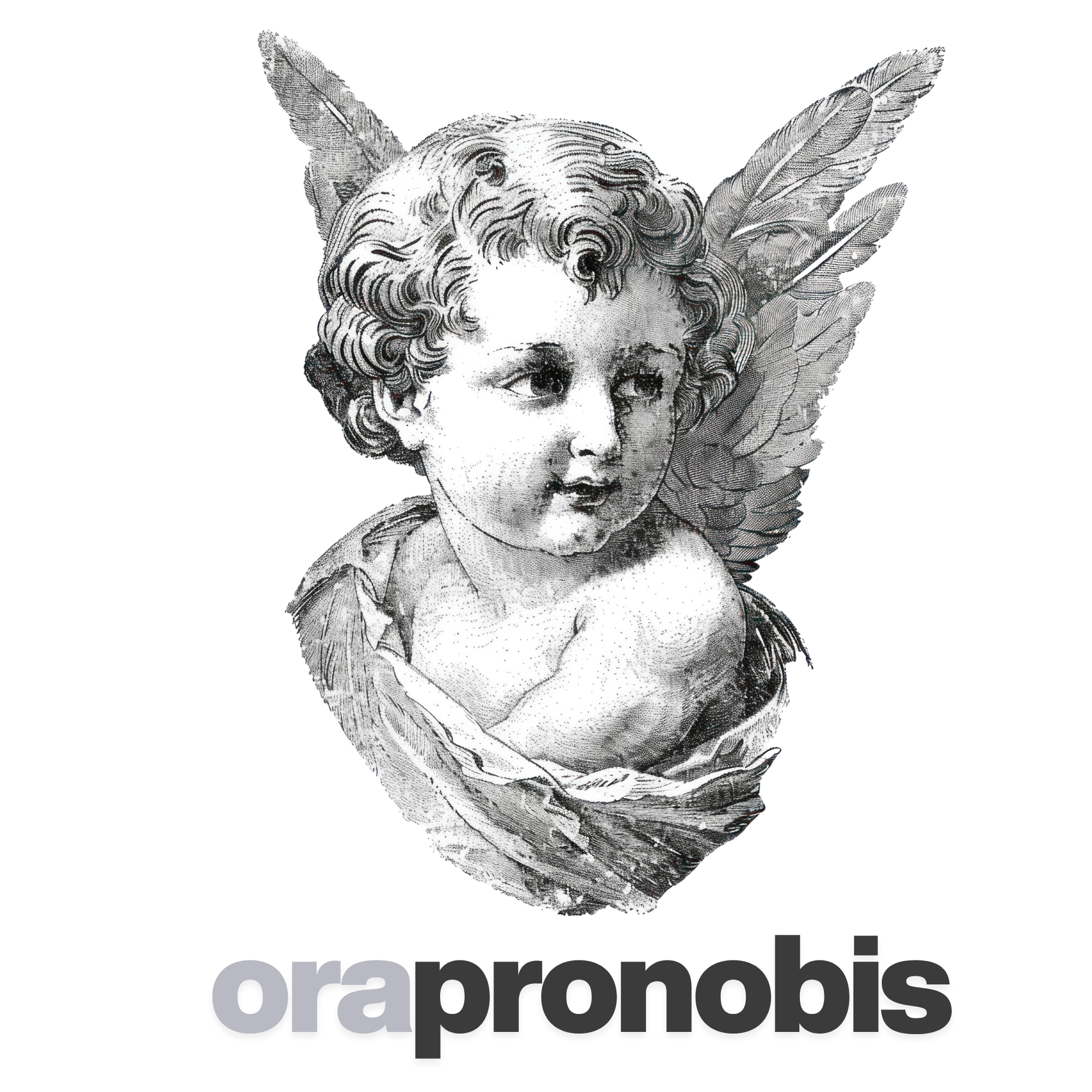 Ora Pro Nobis Singapore logo