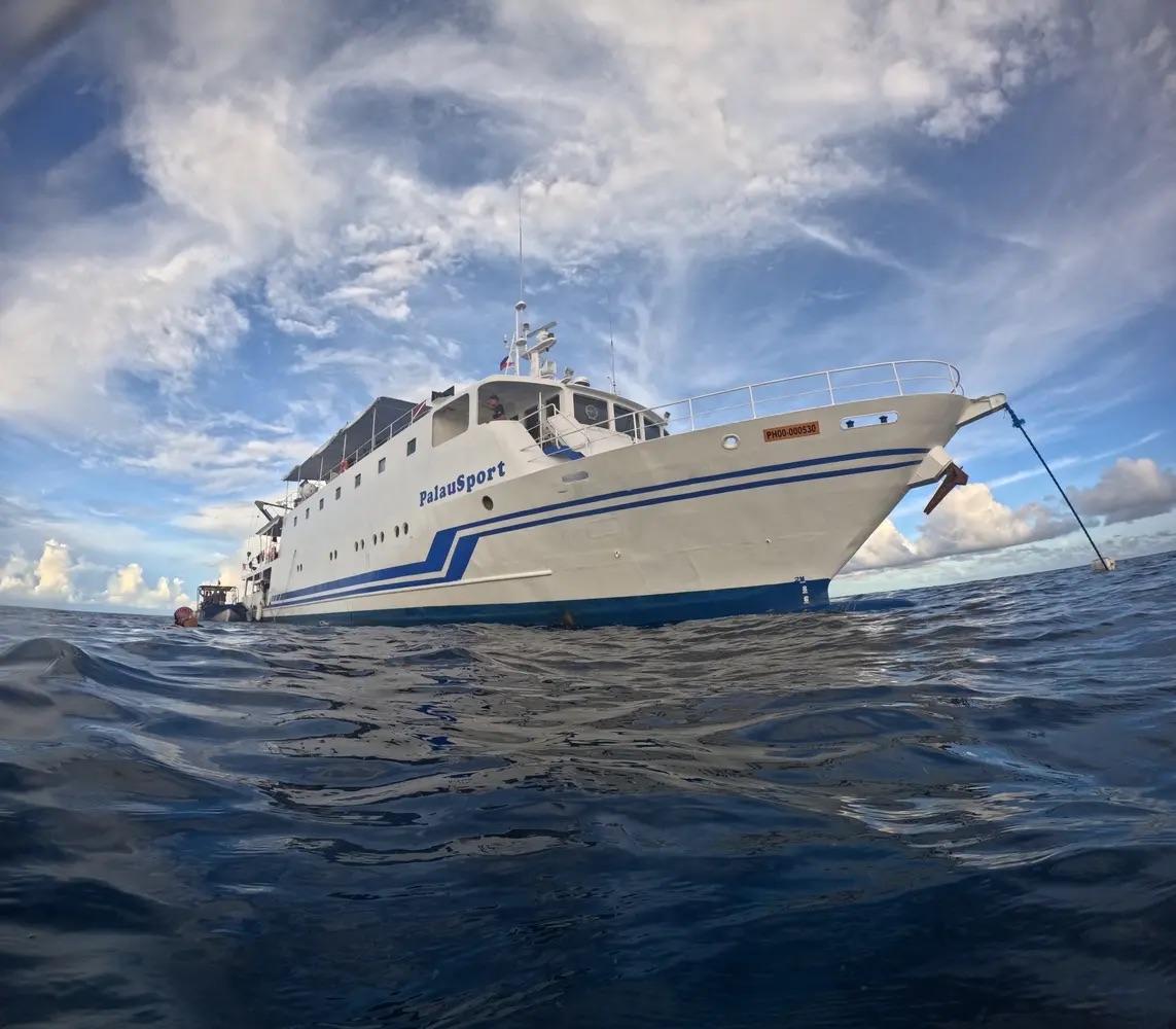 7D6N Tubbataha Reef on M/Y Palau Sport - 15-21 May 2027