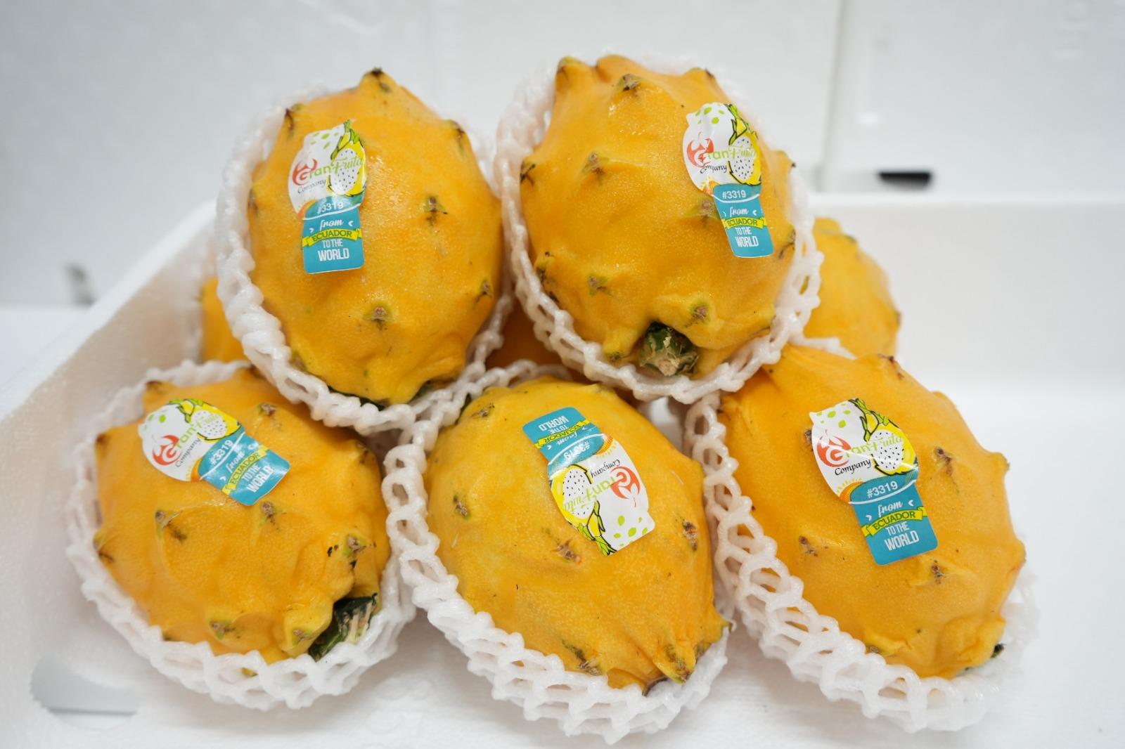 Yellow Dragonfruit