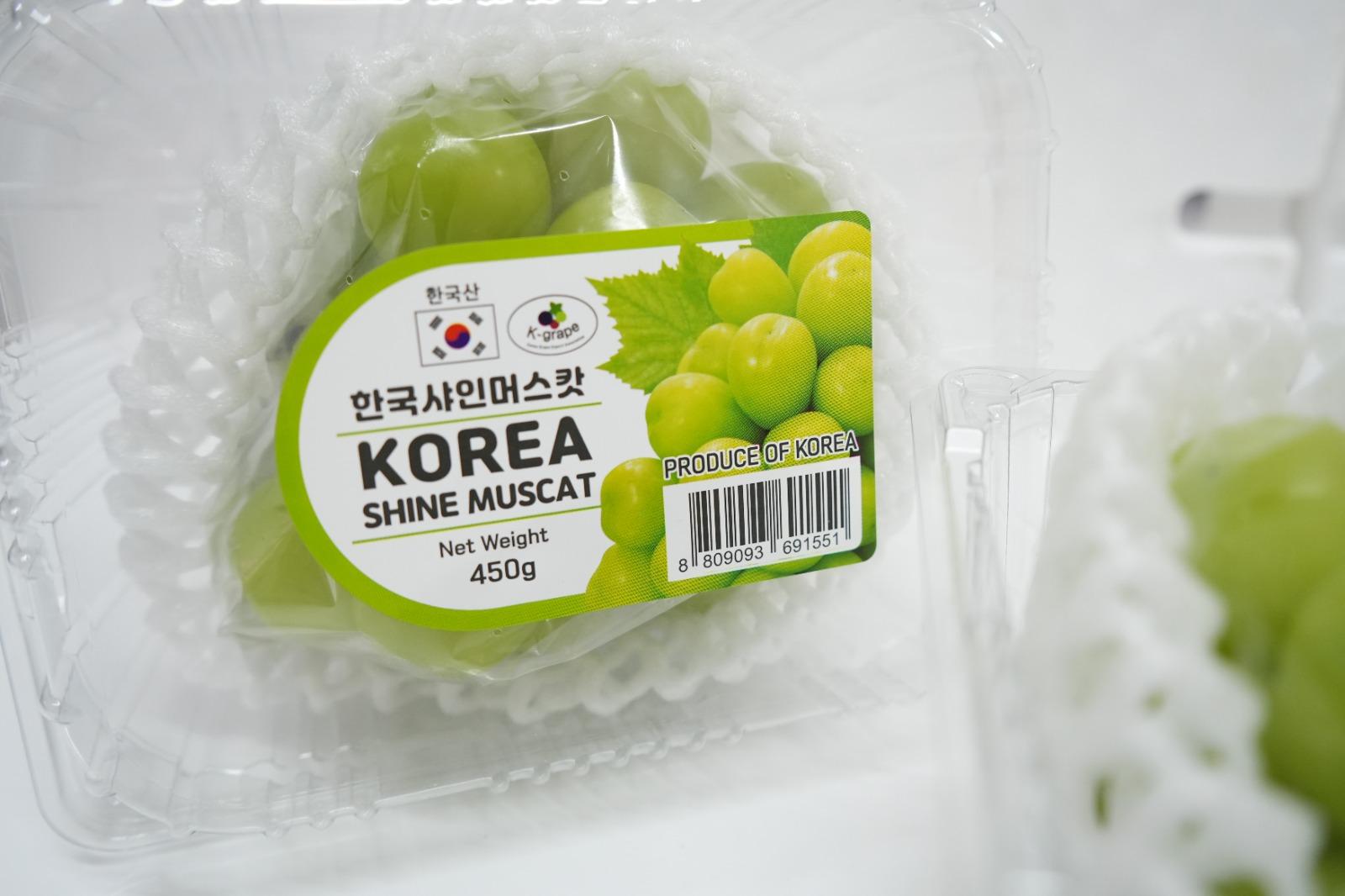 Korea Shine Muscat