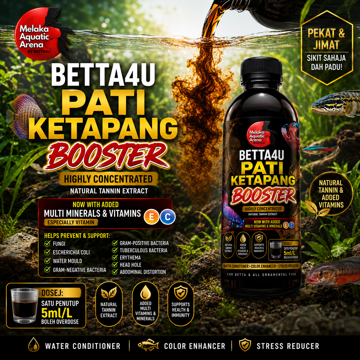 Pati Ketapang Booster 500ml