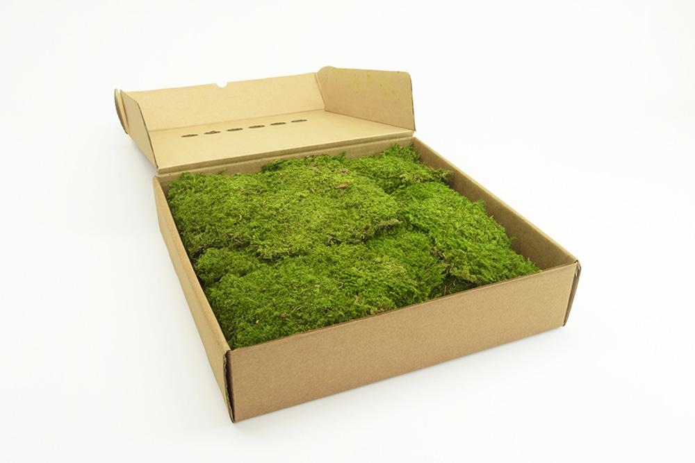 Rock Moss