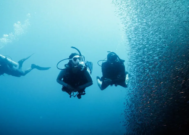 PADI Specialty Diver Course Top-up