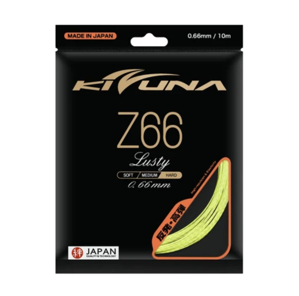 Stringing - Z66