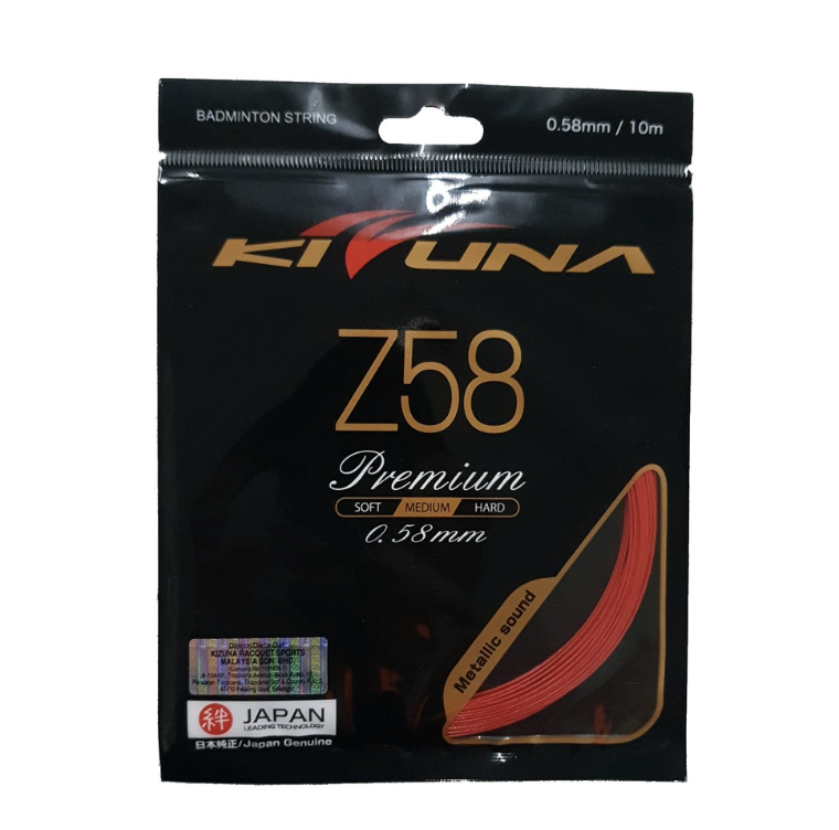 Stringing - Z58
