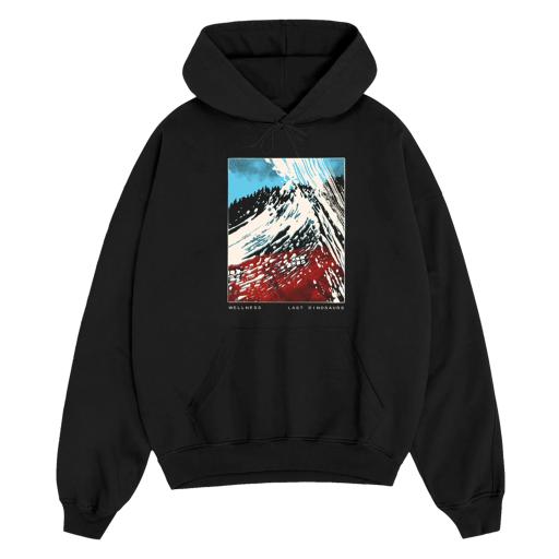 Wellness Hoodie - image 1