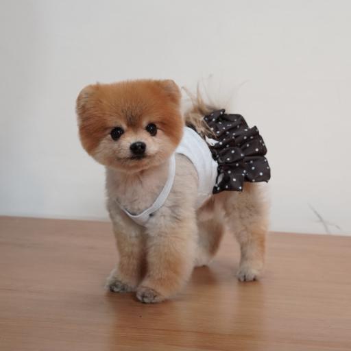 [Pawlovin] Emily Dress - image 4