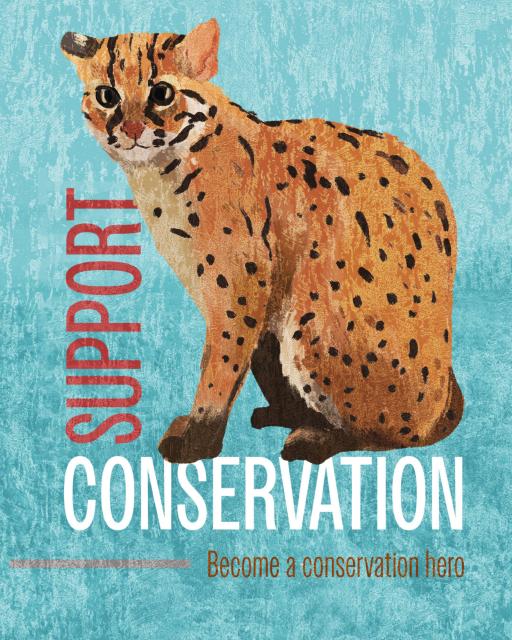 2026 Donation Package — Bayawan Nature Reserve - image 2