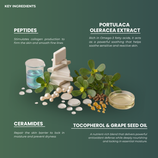 Advanced Skin Renew Cream [ Aging Skin Savior ] - image 4