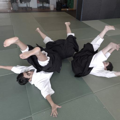 Ukemi Mastery - image 1