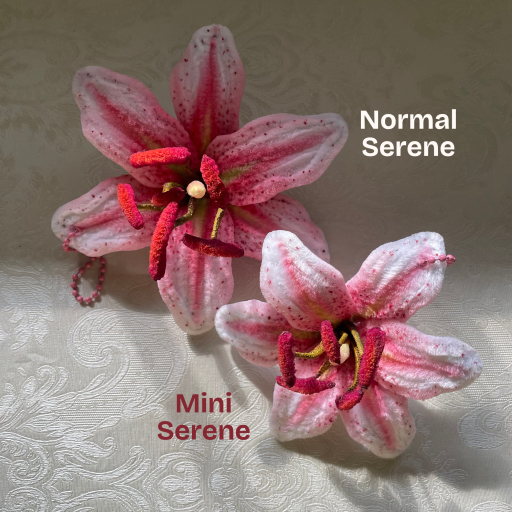 Serene - image 6