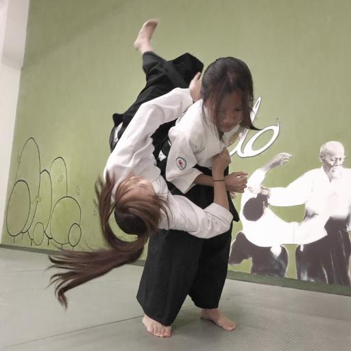 Ukemi Mastery - image 3