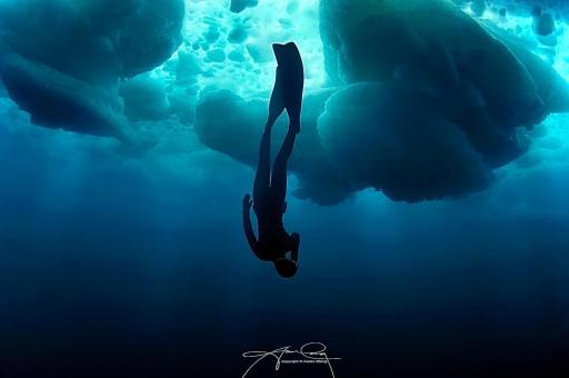 UNDERSTANDING LIGHT with AARON WONG - image 4