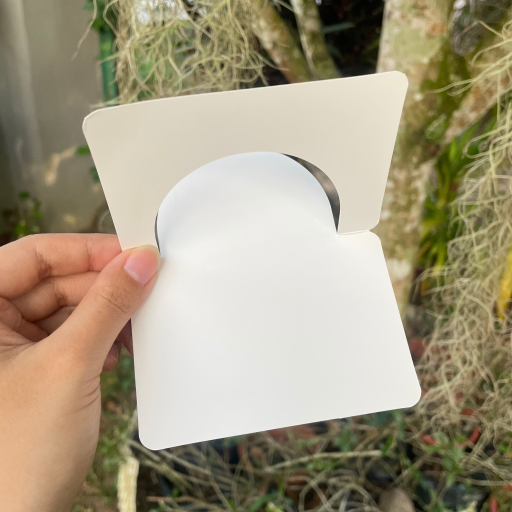 Mini Wish Card - image 5