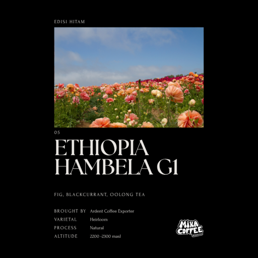 ETHIOPIA HAMBELA G1 (FILTER/ESPRESSO) - image 1