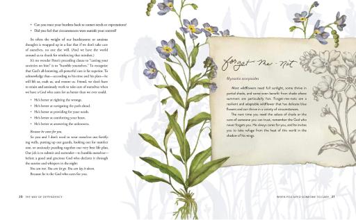 The Way of the Wildflower: Gospel Meditations to Unburden Your Anxious Soul - image 3