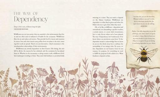 The Way of the Wildflower: Gospel Meditations to Unburden Your Anxious Soul - image 2