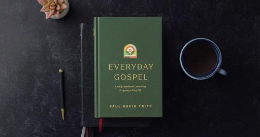 Everyday Gospel: A Daily Devotional Connecting Scripture to All of Life - image 1